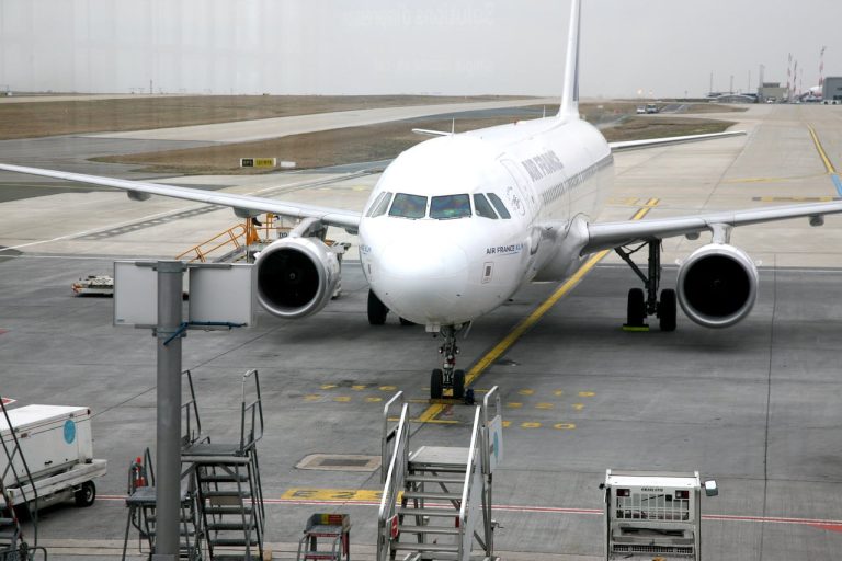 Leading the Way in Style 4 paris airport airplane aircraft france vehicle 330540 pxhere.com